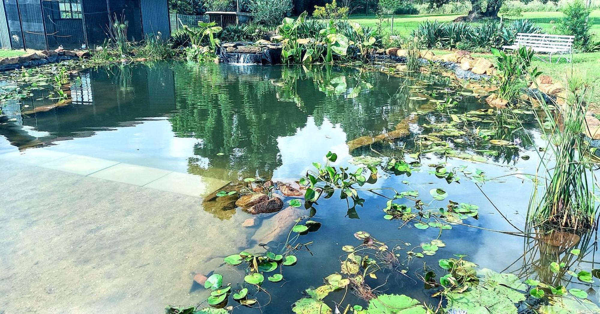 Deo Resta Guest Lodge Piet Retief Exterior foto